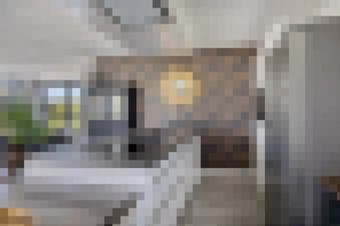 Olthofsweg 3 Hellendoorn thumbnail 17