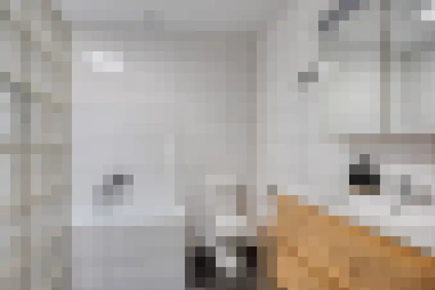 Olthofsweg 3 Hellendoorn thumbnail 25