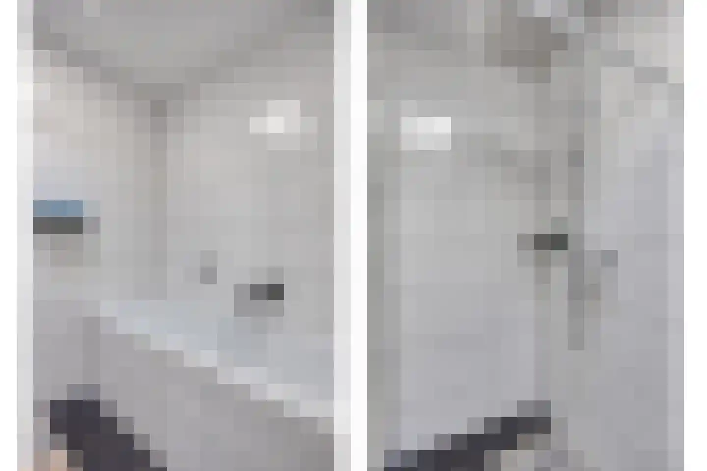 Olthofsweg 3 Hellendoorn thumbnail 26
