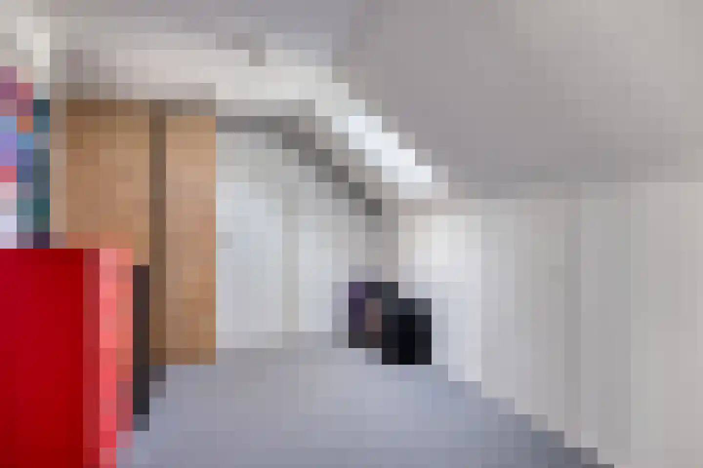 Olthofsweg 3 Hellendoorn thumbnail 28