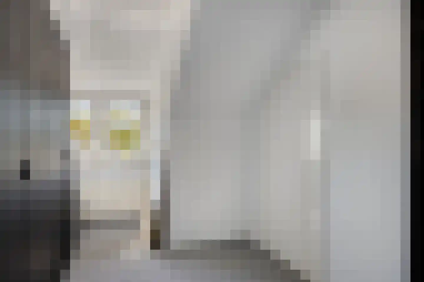 Olthofsweg 3 Hellendoorn thumbnail 30
