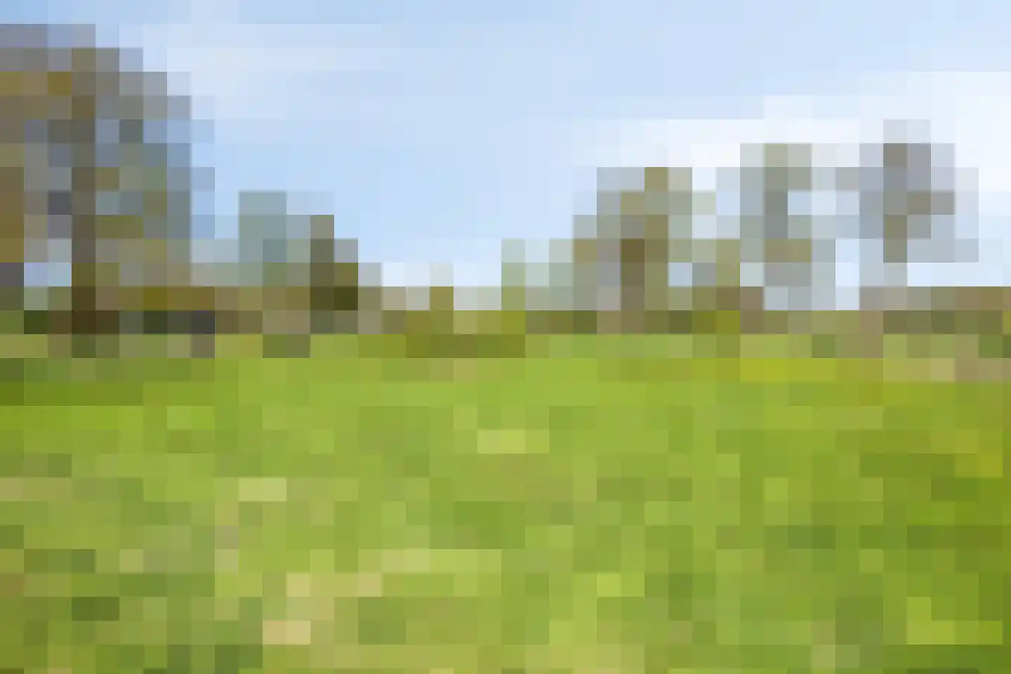Olthofsweg 3 Hellendoorn thumbnail 39