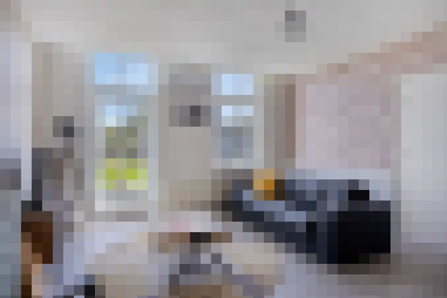Olthofsweg 3 Hellendoorn thumbnail 43