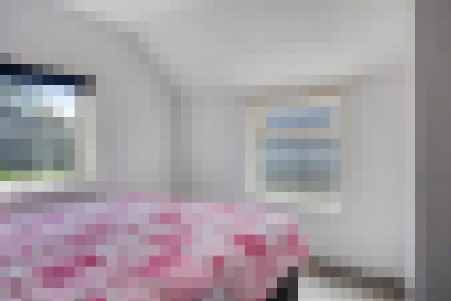 Olthofsweg 3 Hellendoorn thumbnail 49