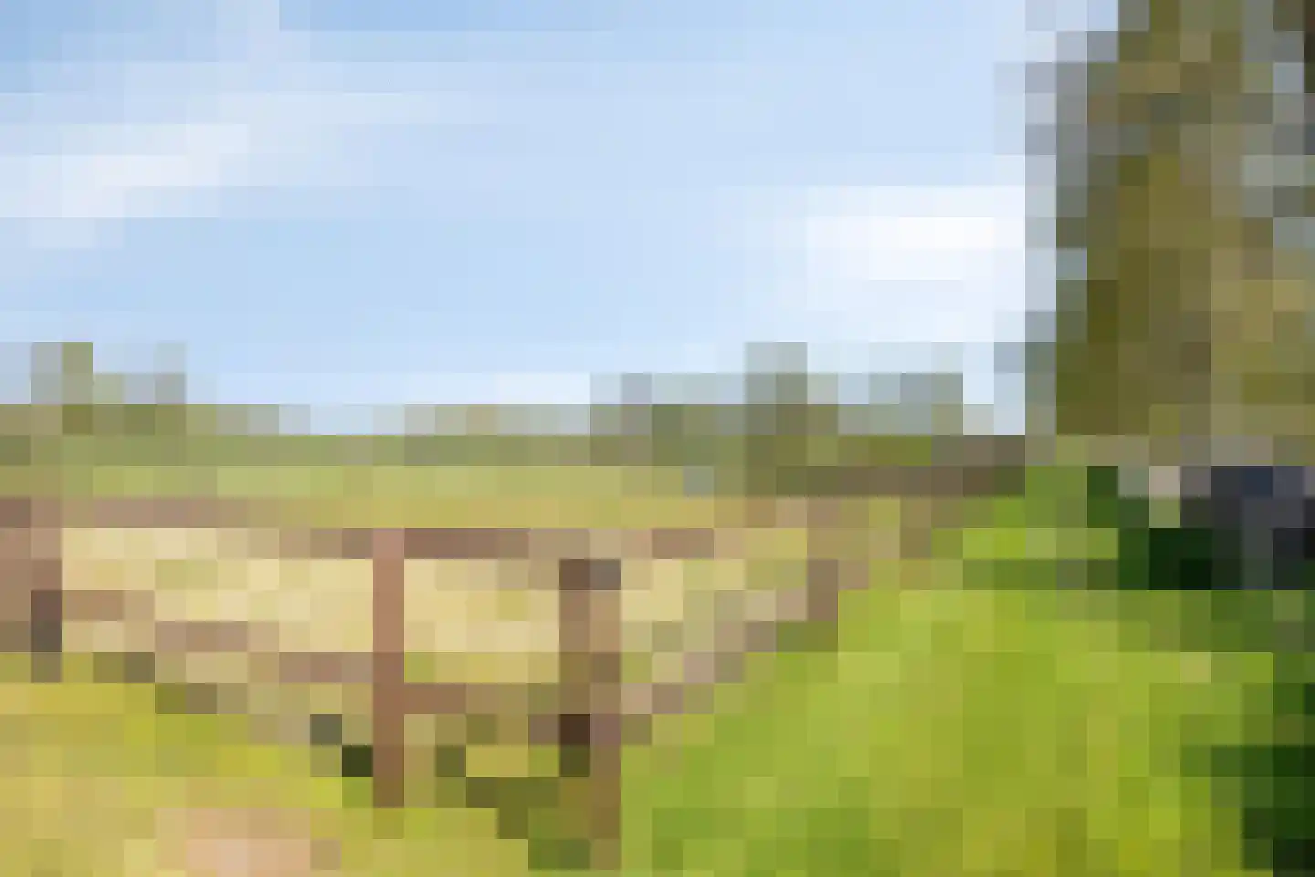 Olthofsweg 3 Hellendoorn thumbnail 65