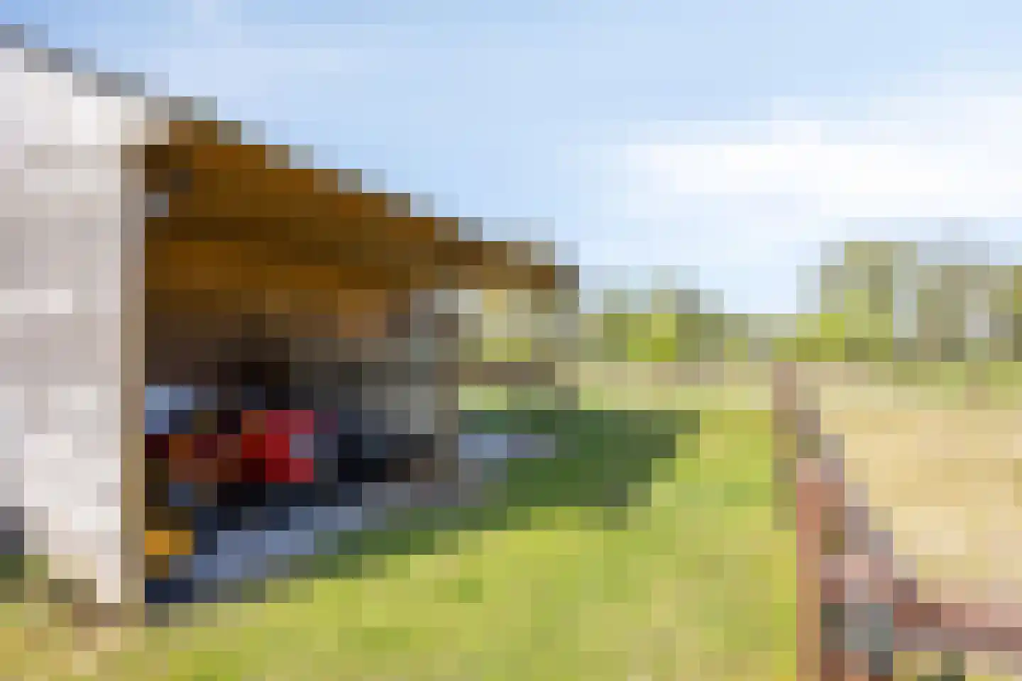 Olthofsweg 3 Hellendoorn thumbnail 66