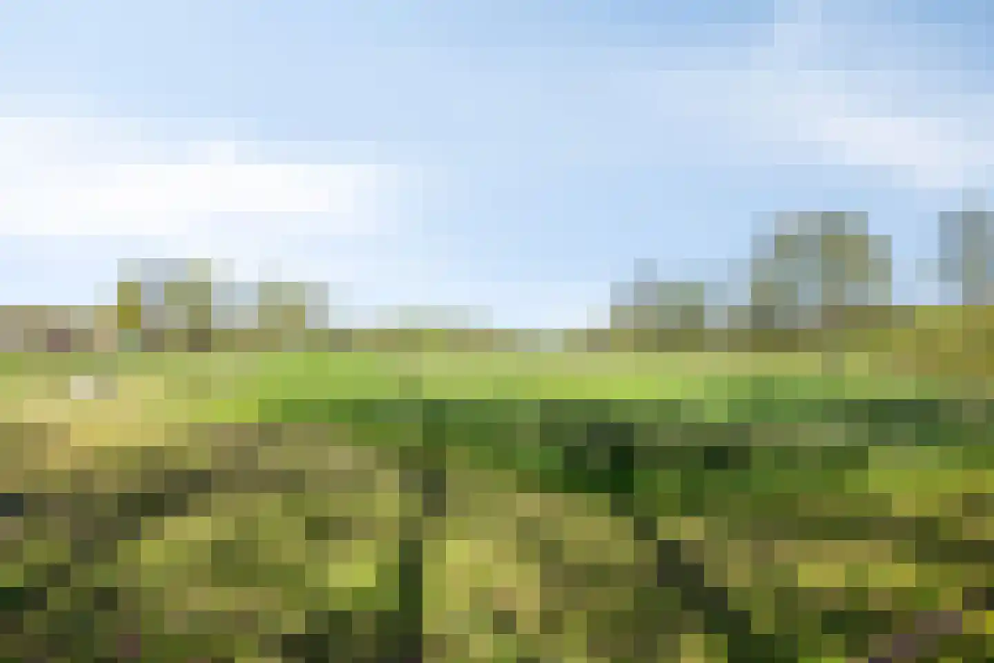 Olthofsweg 3 Hellendoorn thumbnail 68