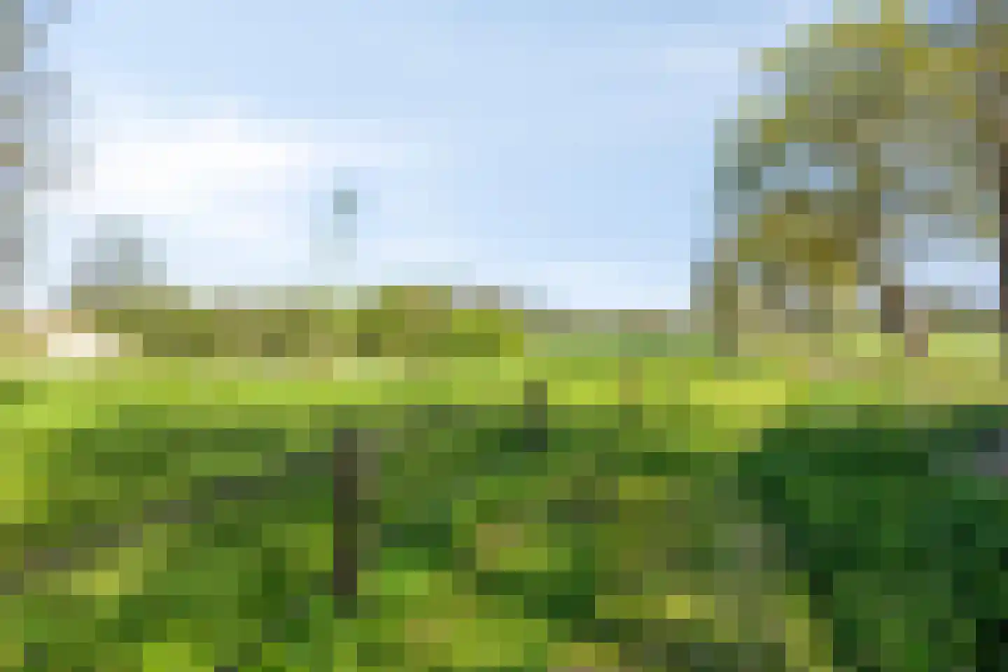 Olthofsweg 3 Hellendoorn thumbnail 69