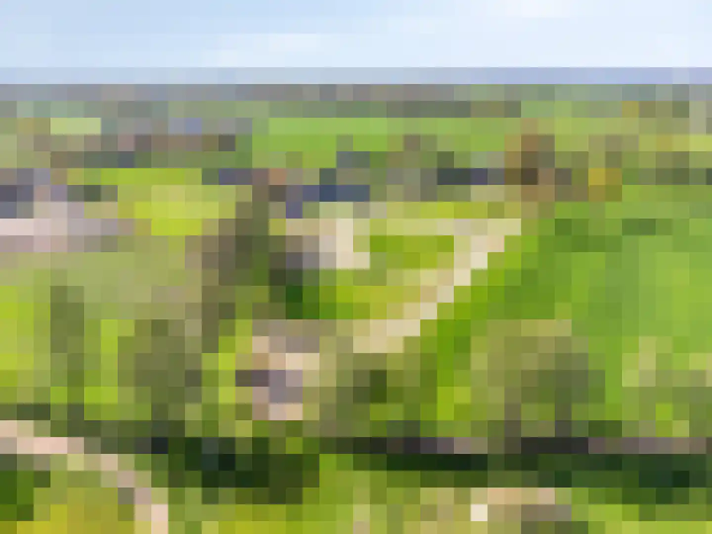 Olthofsweg 3 Hellendoorn thumbnail 75