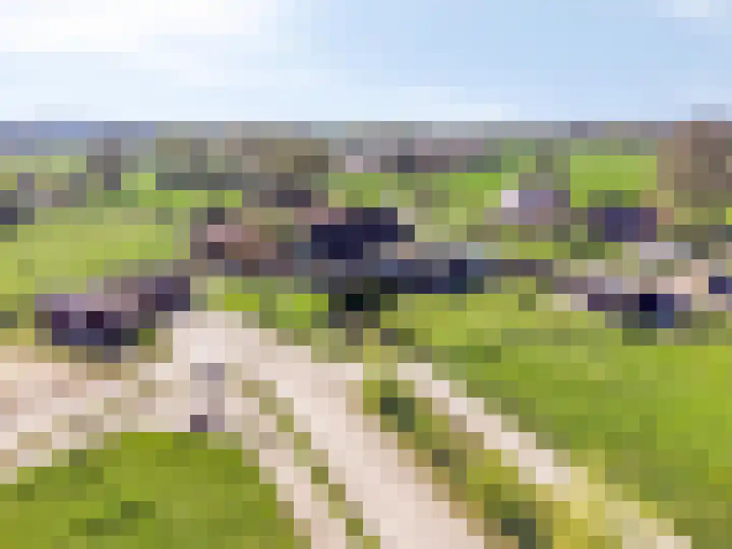 Olthofsweg 3 Hellendoorn thumbnail 76