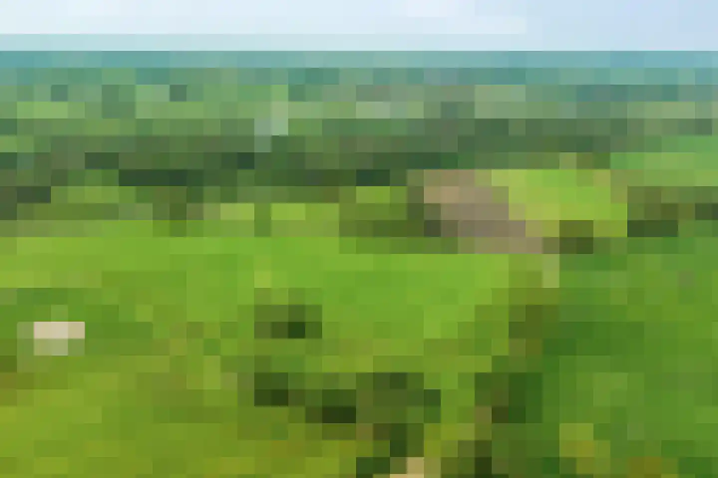 Olthofsweg 3 Hellendoorn thumbnail 80