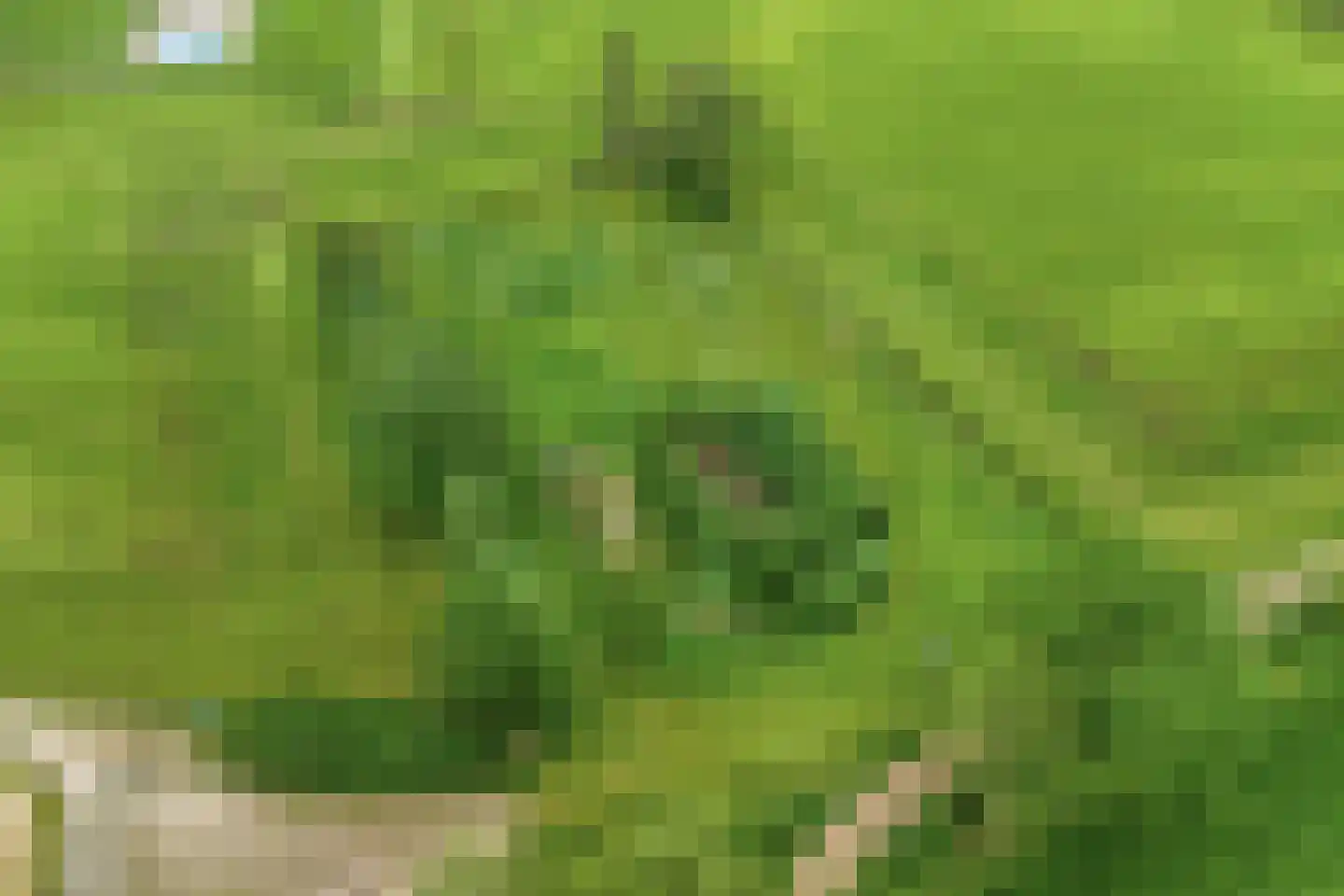 Olthofsweg 3 Hellendoorn thumbnail 81
