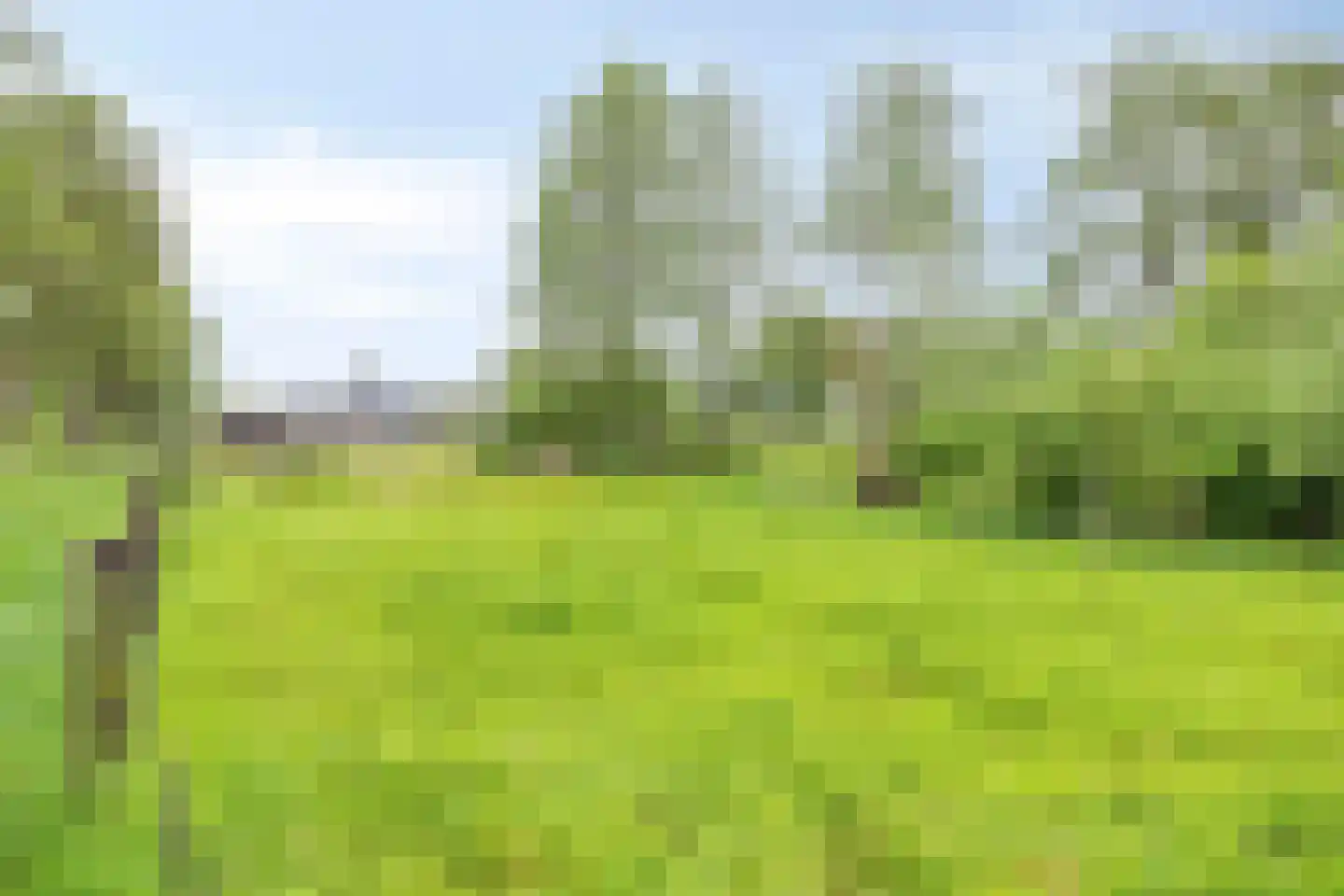 Olthofsweg 3 Hellendoorn thumbnail 82