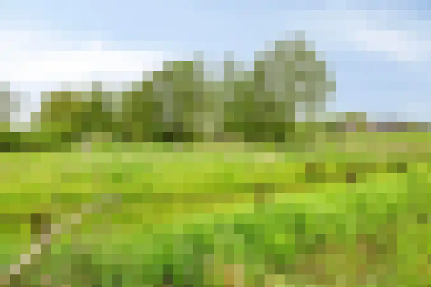 Olthofsweg 3 Hellendoorn thumbnail 83