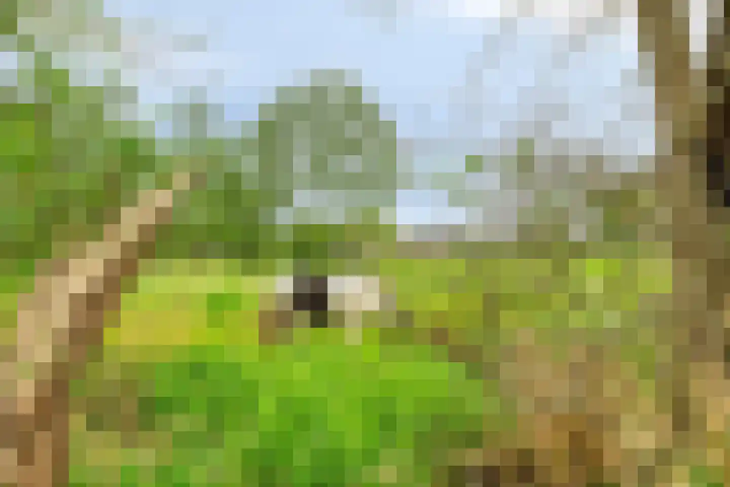 Olthofsweg 3 Hellendoorn thumbnail 84