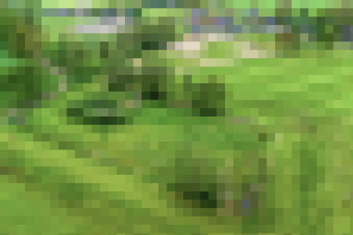 Olthofsweg 3 Hellendoorn thumbnail 85