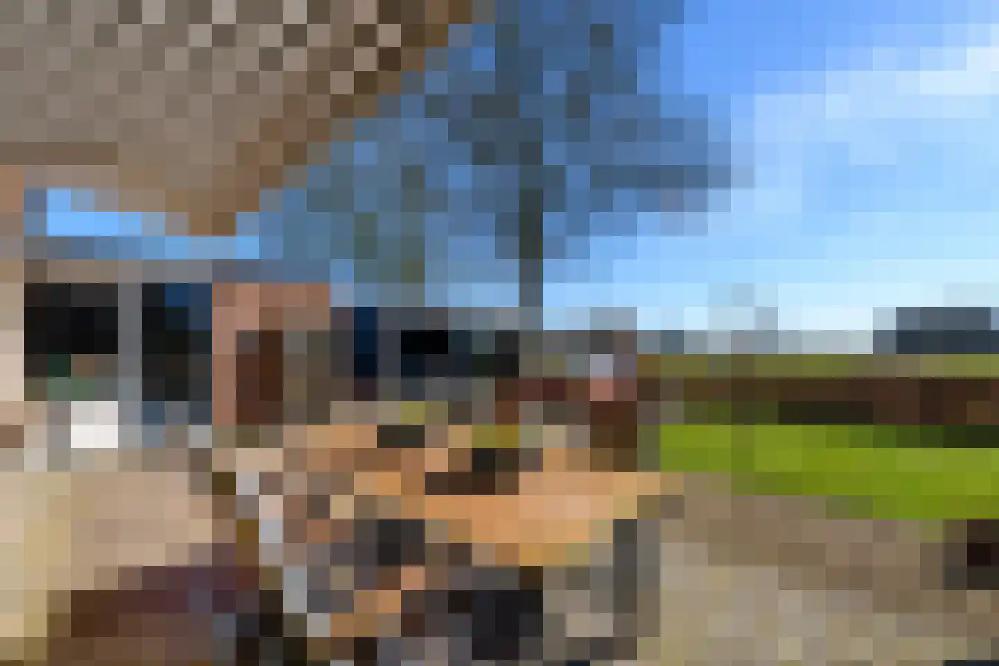 Oltholtstraat 12 Oldeholtpade thumbnail 4
