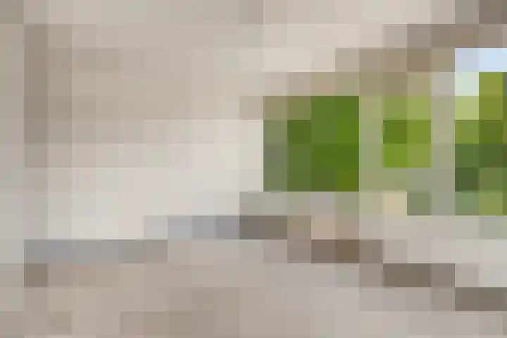 Olthorst 19 Ede thumbnail 10