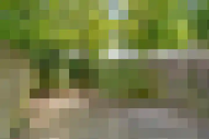 Olthorst 19 Ede thumbnail 23