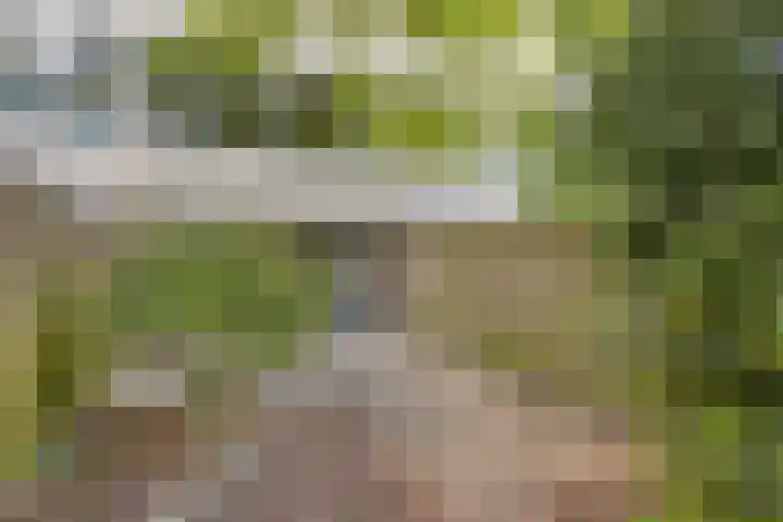 Olthorst 19 Ede thumbnail 24