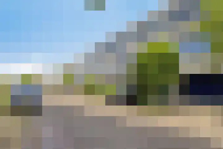 Olthorst 19 Ede thumbnail 25