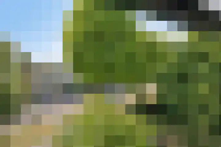 Olthorst 19 Ede thumbnail 27