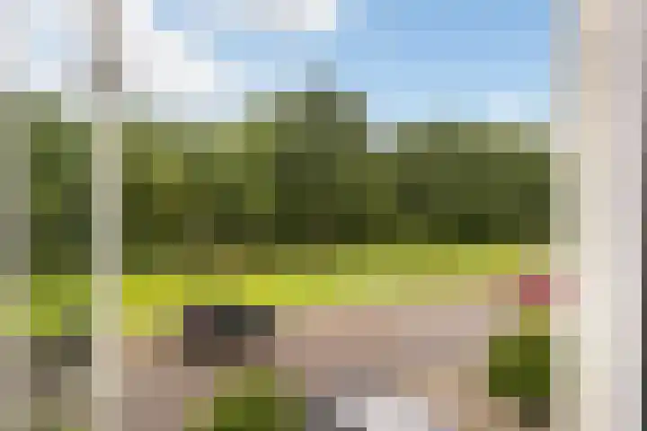 Olthorst 29 Ede thumbnail 15