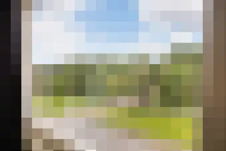 Olthorst 29 Ede thumbnail 22