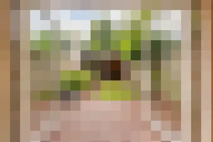 Olthorst 29 Ede thumbnail 31