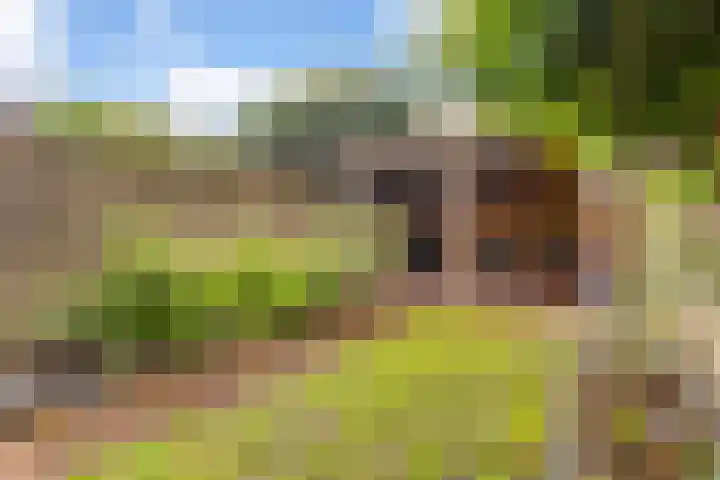 Olthorst 29 Ede thumbnail 32