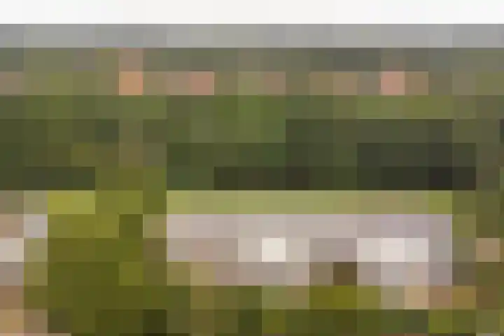 Olthorst 29 Ede thumbnail 37