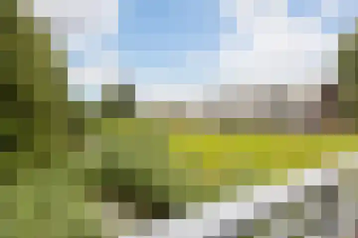 Olthorst 29 Ede thumbnail 38