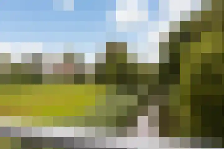 Olthorst 29 Ede thumbnail 39