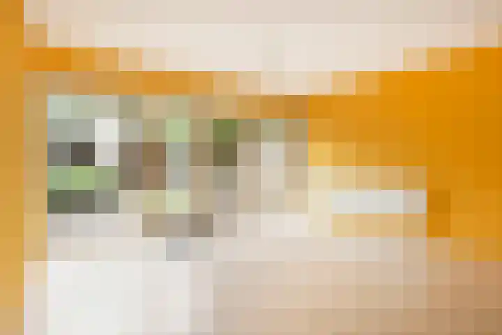Olthorst 29 Ede thumbnail 6