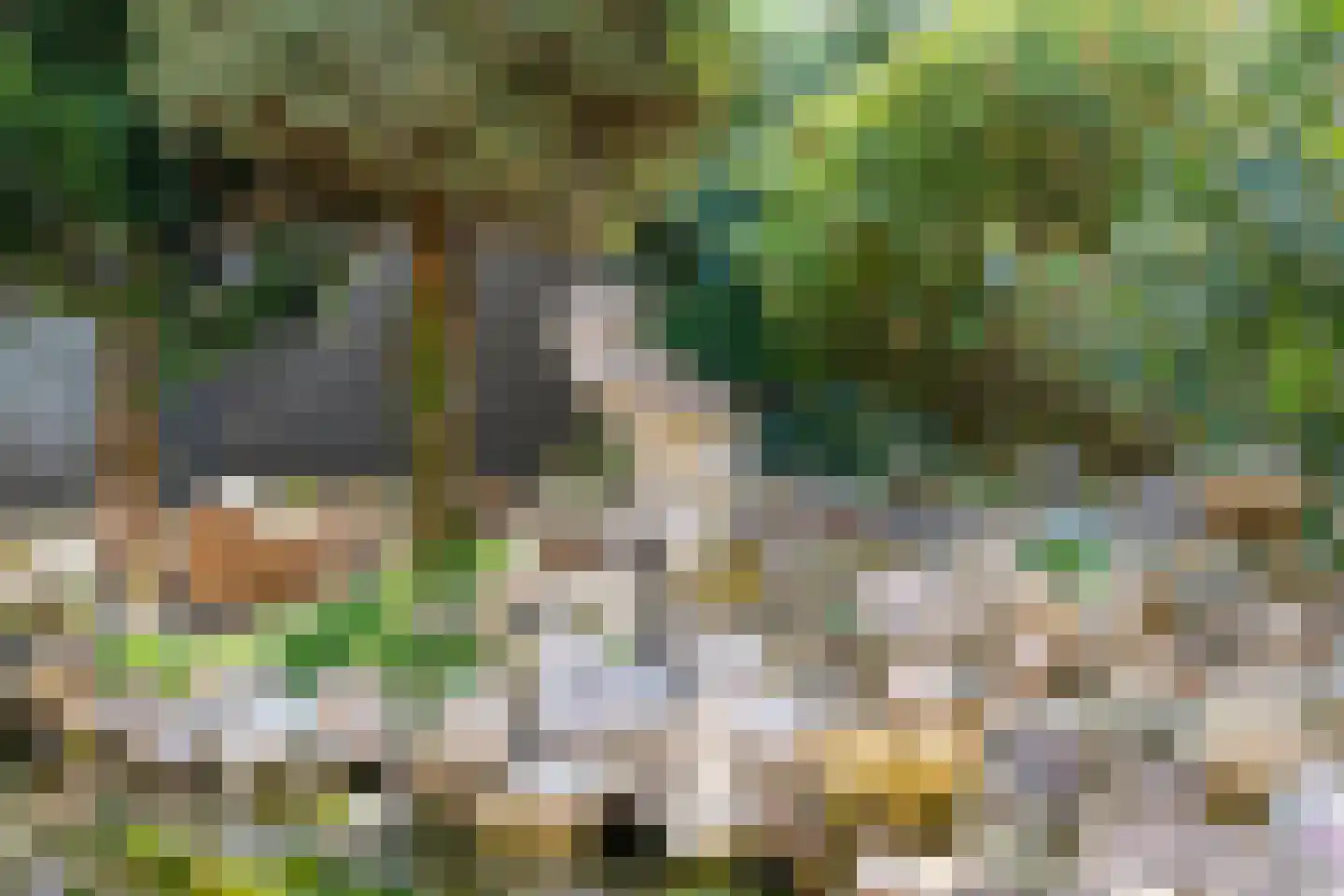 Olthuusweg 4 Havelte thumbnail 34