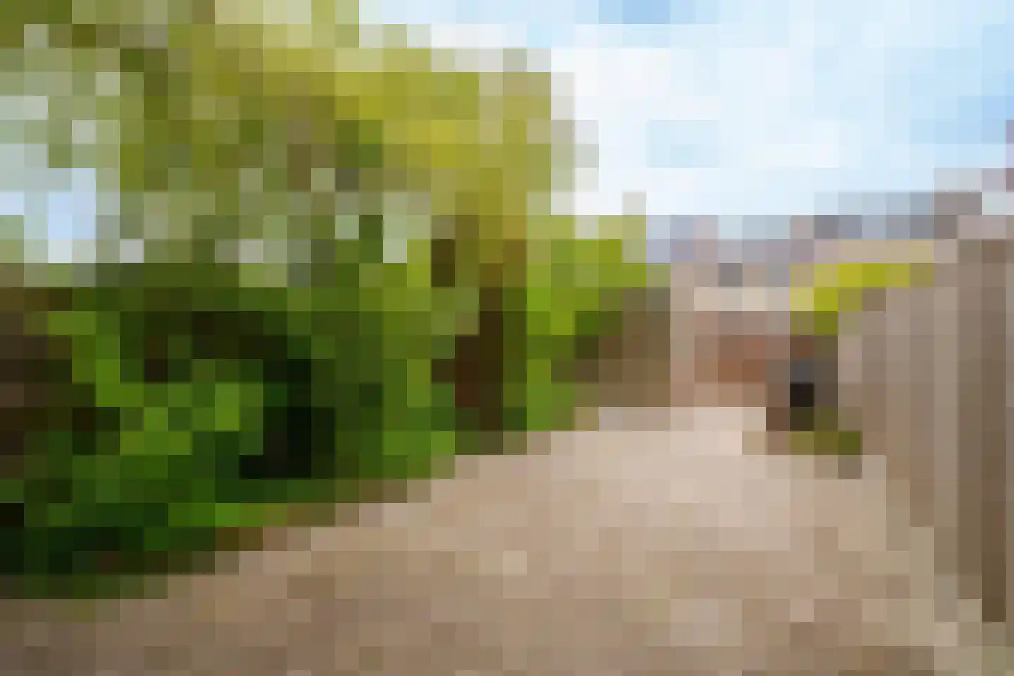 Oltman Thomsenstraat 57 Almere thumbnail 18