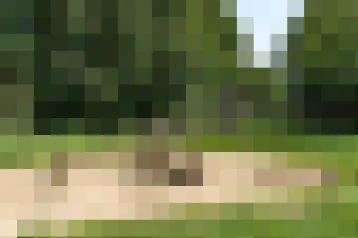 Oltmanshof 13 Barneveld thumbnail 38