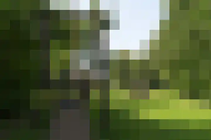 Oltmanshof 13 Barneveld thumbnail 39
