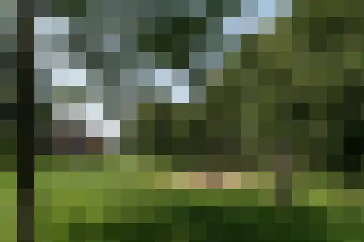 Oltmanshof 13 Barneveld thumbnail 40