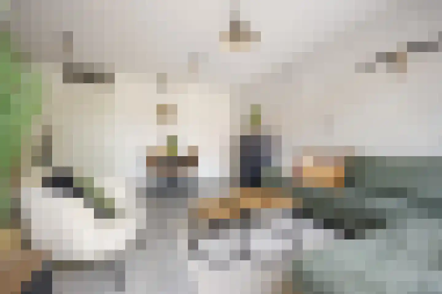 Oltmanshof 16 Barneveld thumbnail 10