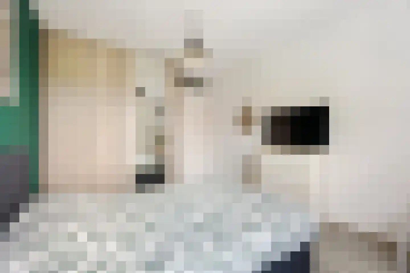Oltmanshof 16 Barneveld thumbnail 19