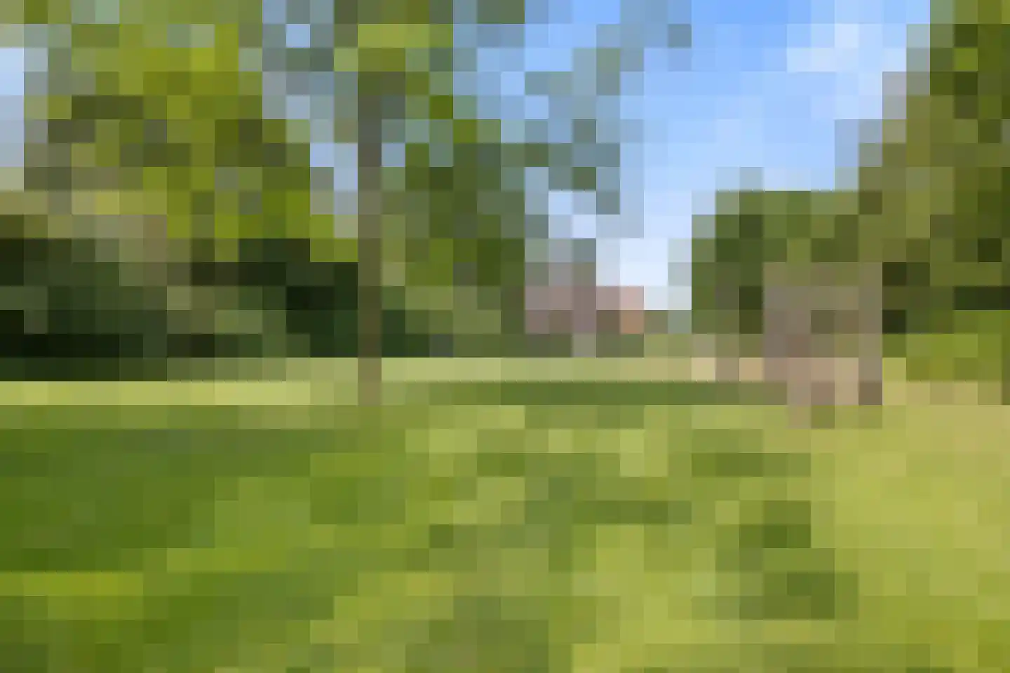 Oltmanshof 16 Barneveld thumbnail 34