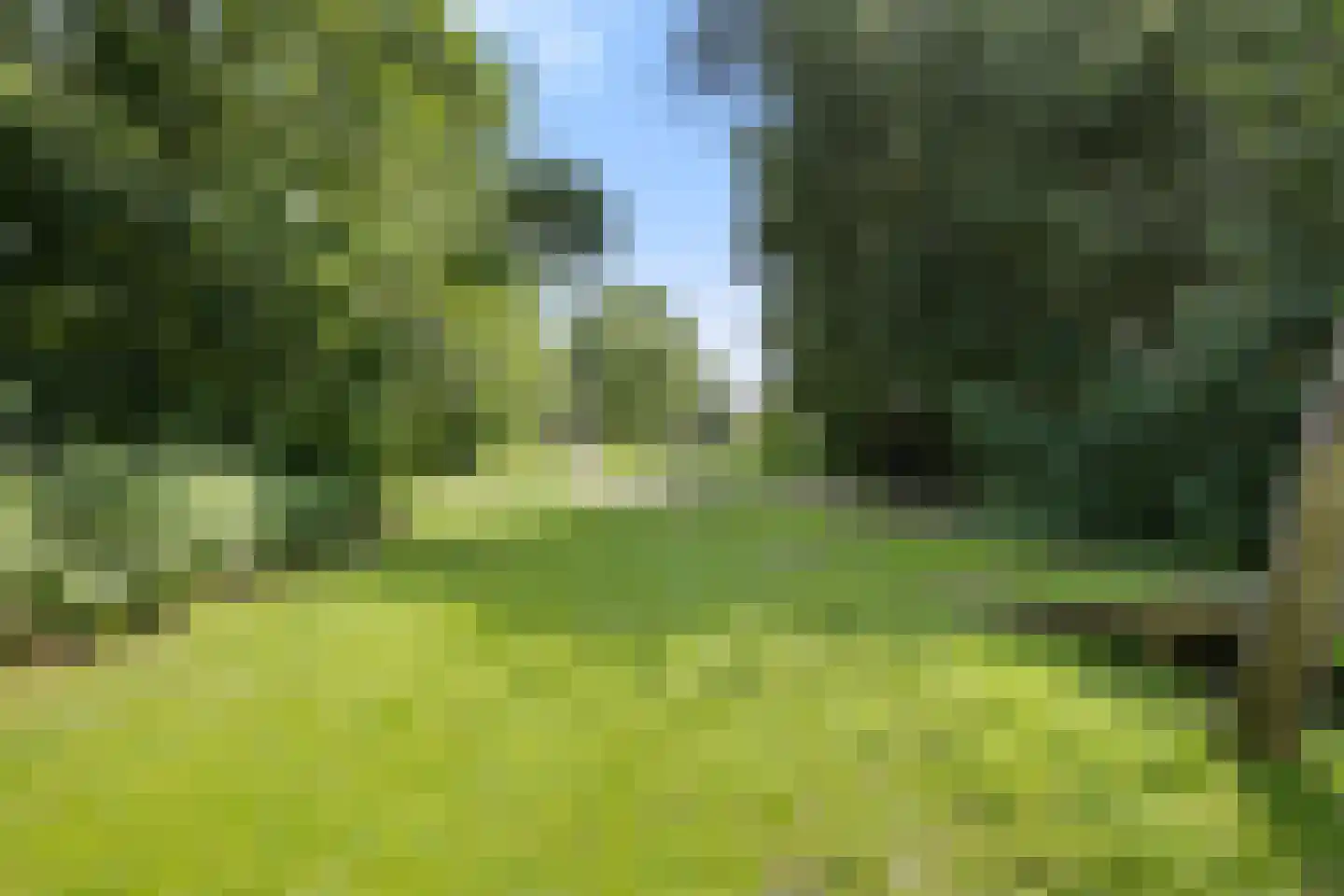 Oltmanshof 16 Barneveld thumbnail 35