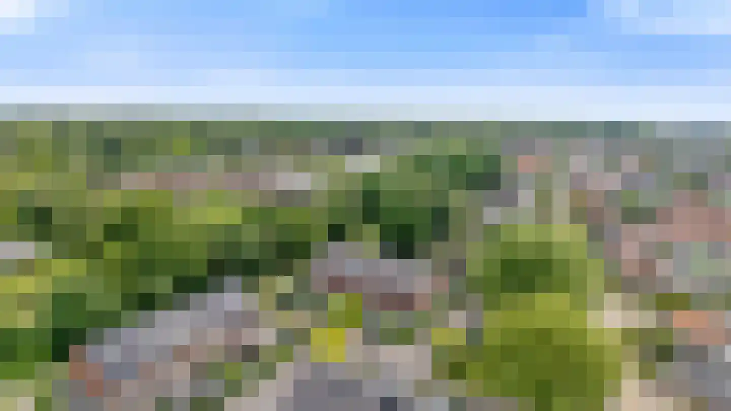 Oltmanshof 16 Barneveld thumbnail 37