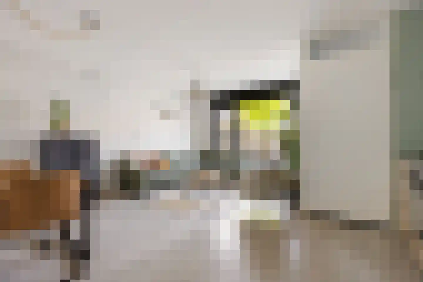 Oltmanshof 16 Barneveld thumbnail 8