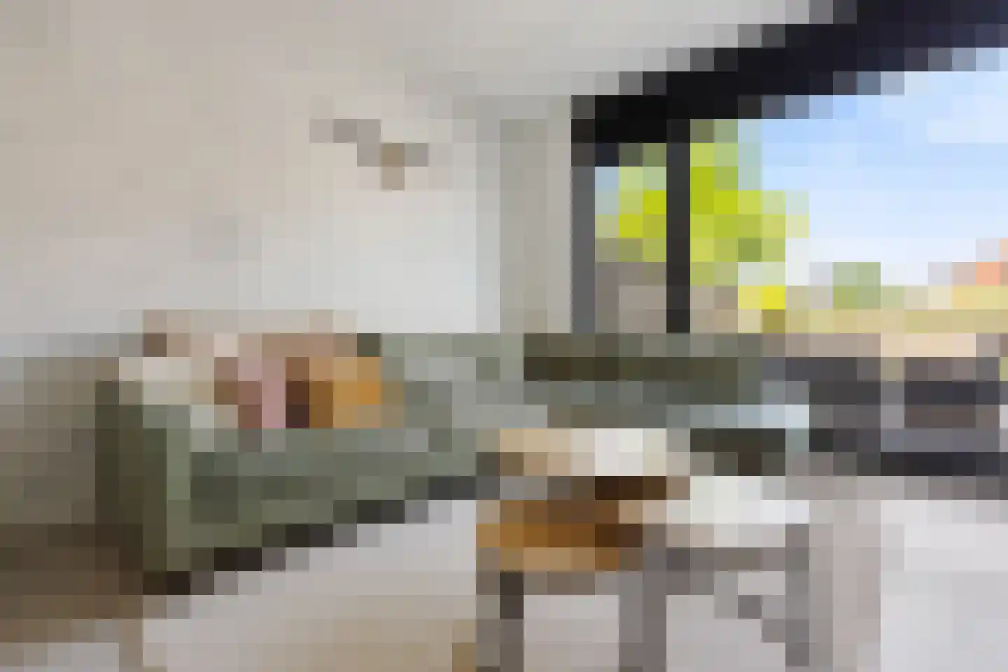 Oltmanshof 16 Barneveld thumbnail 9