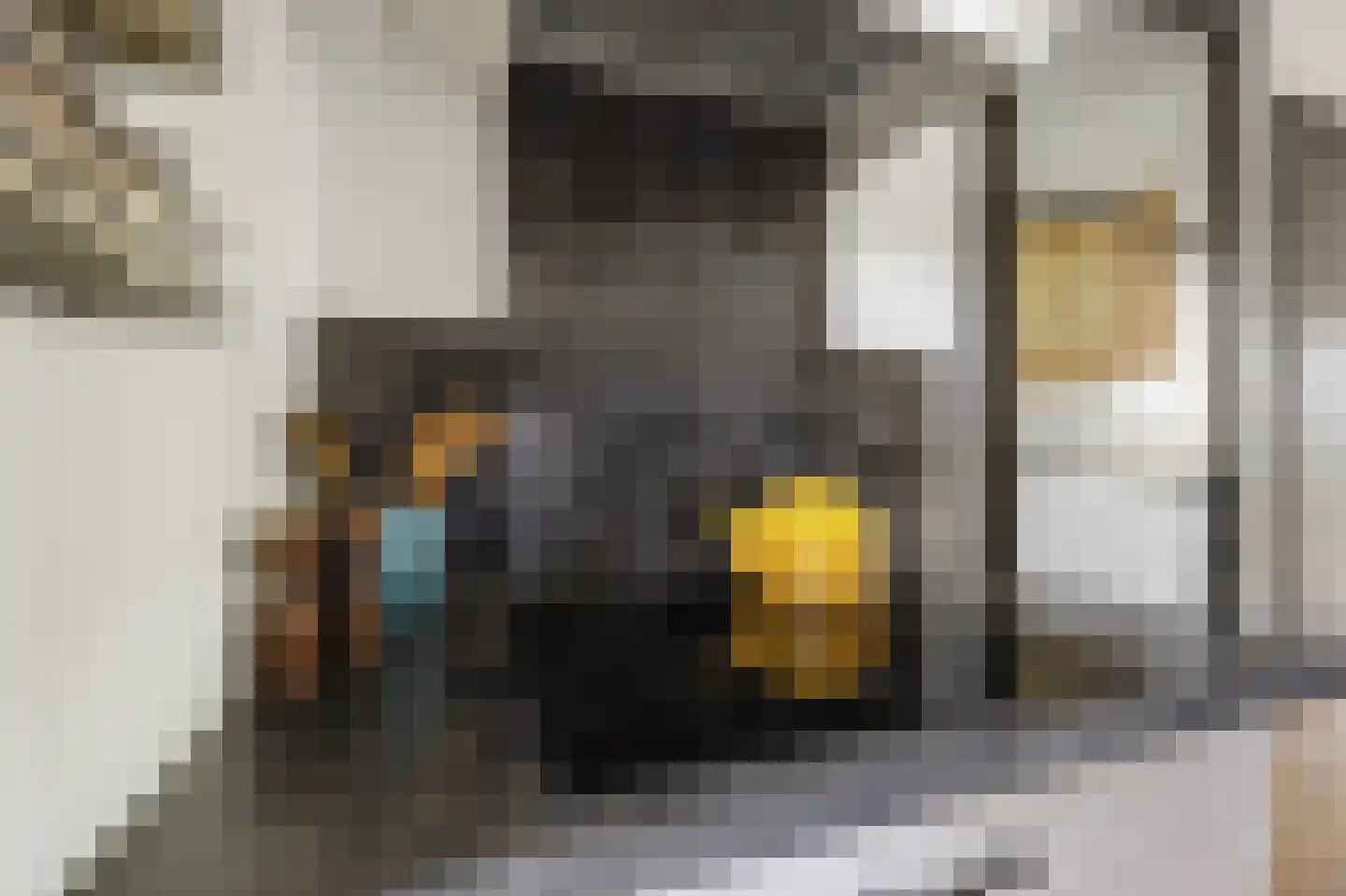 Oltmanshof 36 Barneveld thumbnail 18