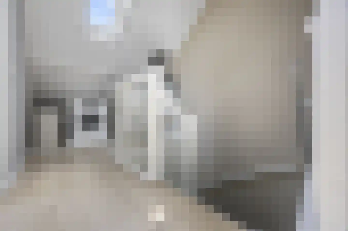 Oltmanshof 36 Barneveld thumbnail 31
