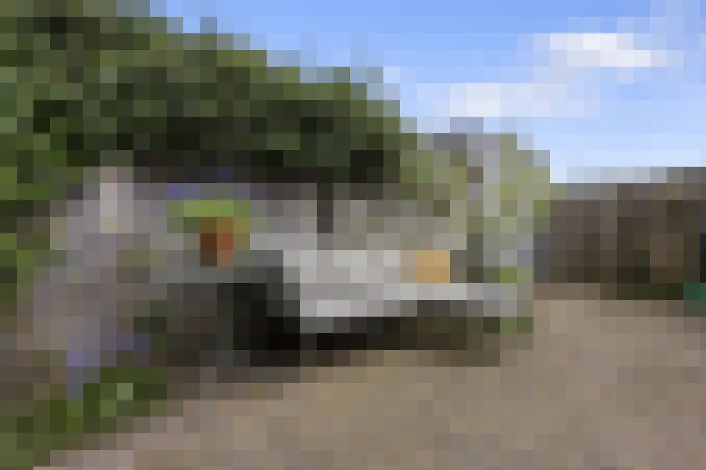 Oltmanshof 36 Barneveld thumbnail 38
