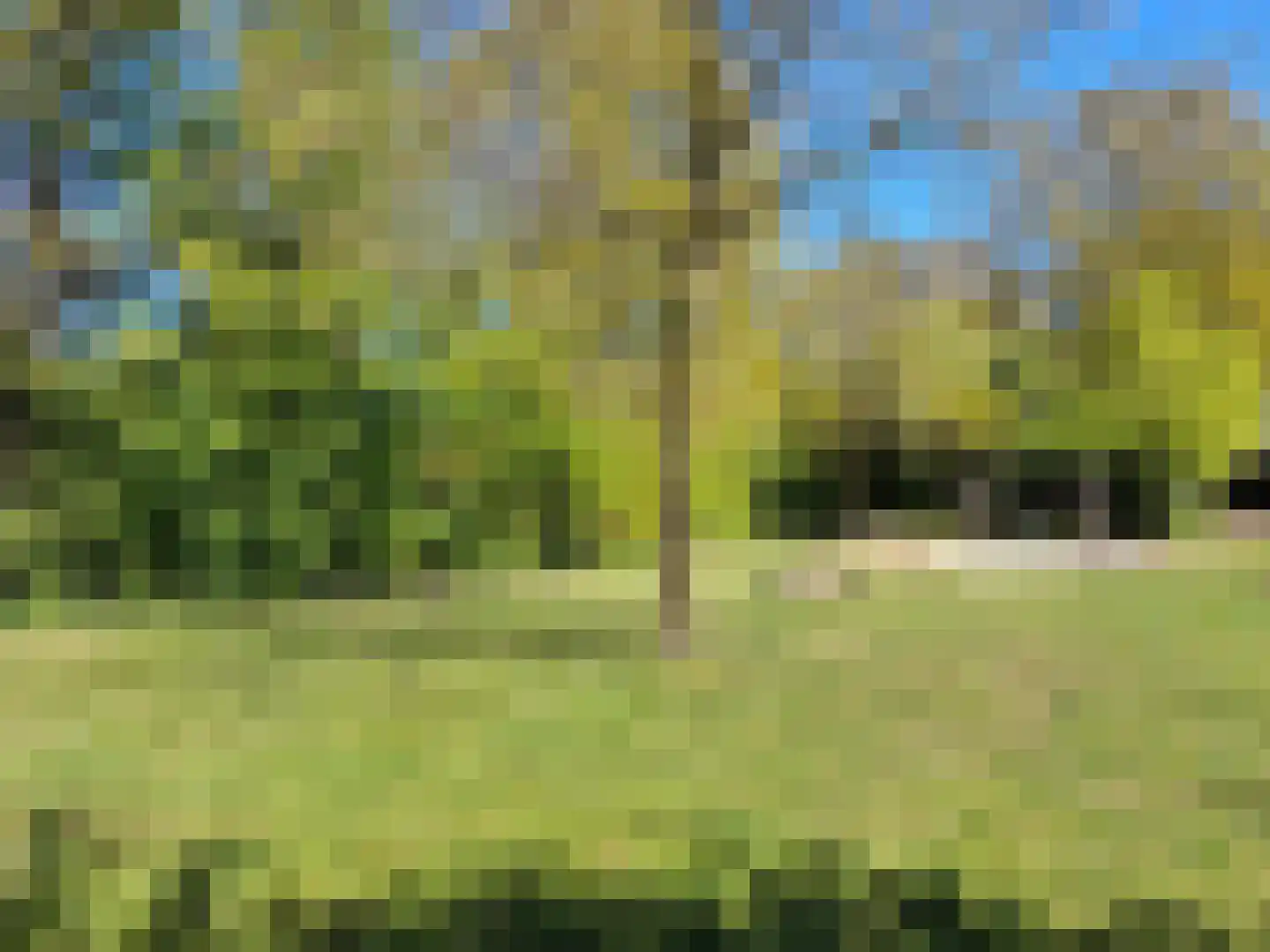 Oltmanshof 36 Barneveld thumbnail 44